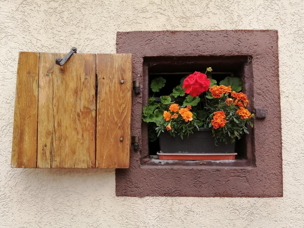 Gite Le Patio Kaysersberg-Vignoble Ngoại thất bức ảnh